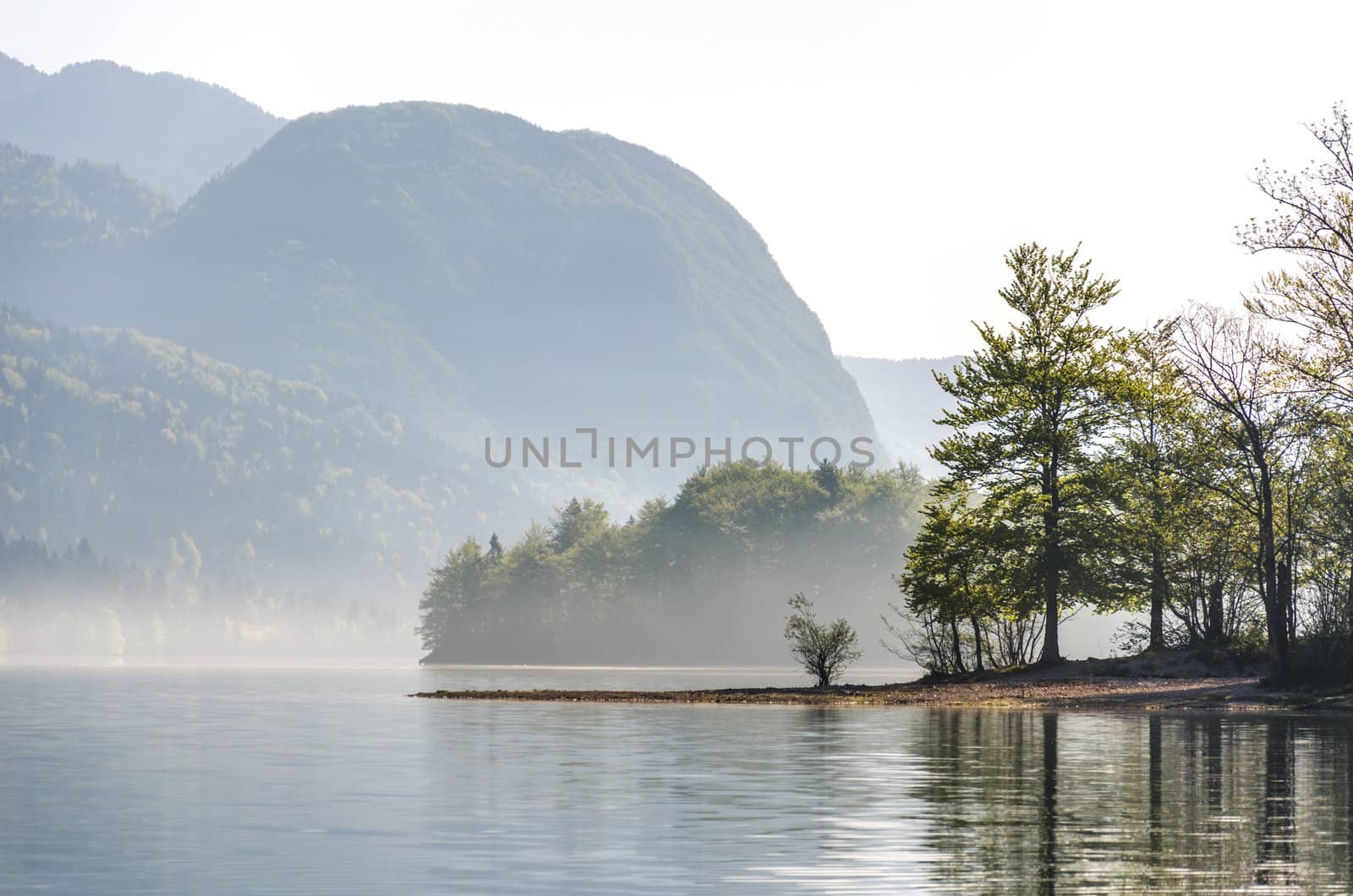 Remains of morning mist on lake Bohinj, Slovenia.