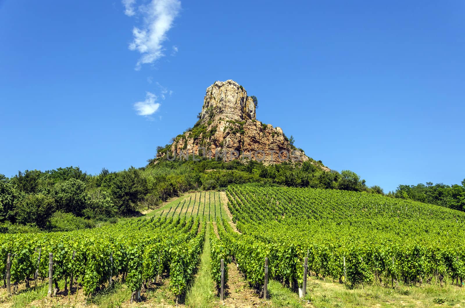 View on Solutre rock with vineyards below, France, Europe