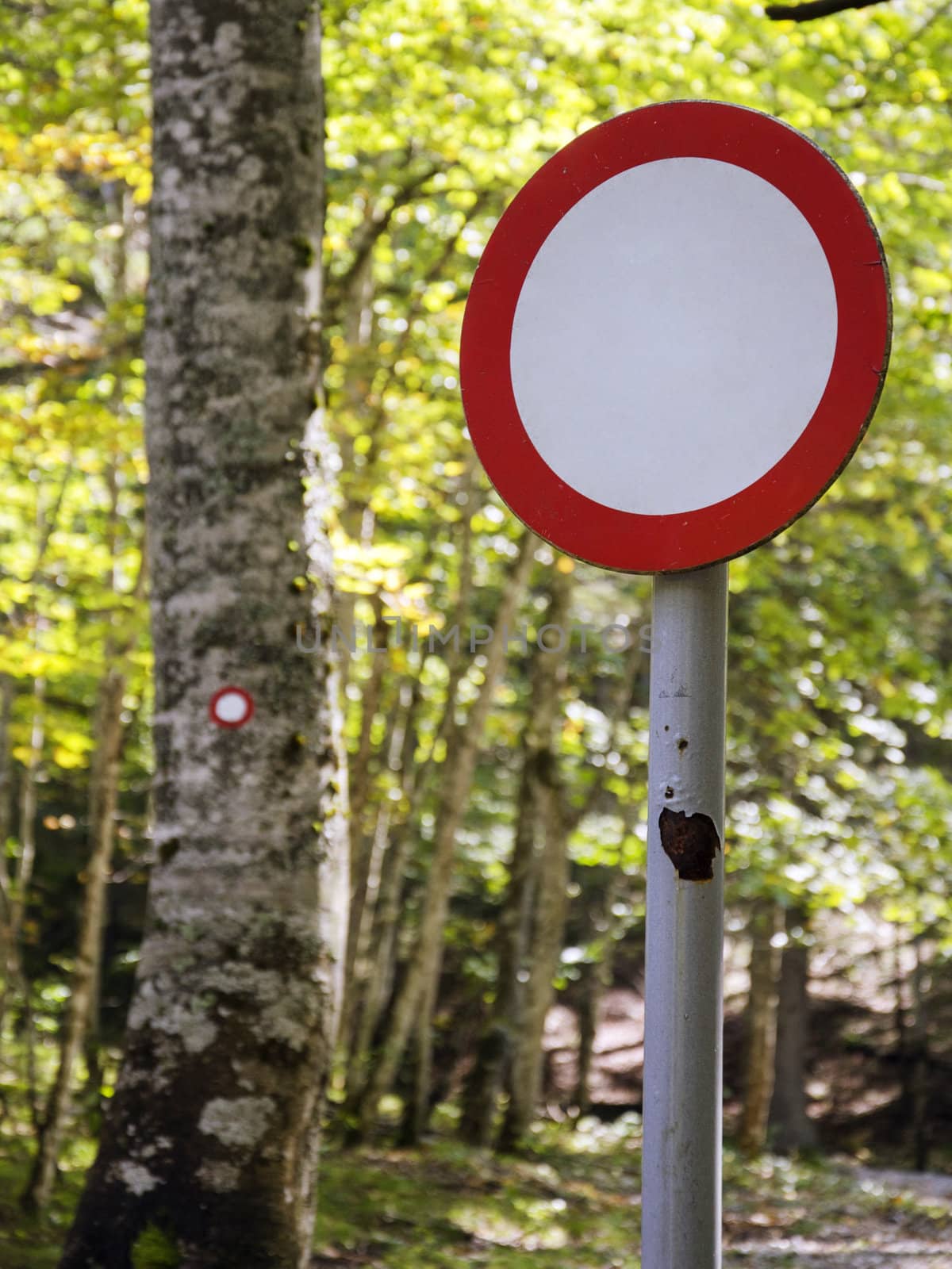 Same but different. All trafic forbidden sign versus right hiking trail mark in the background.