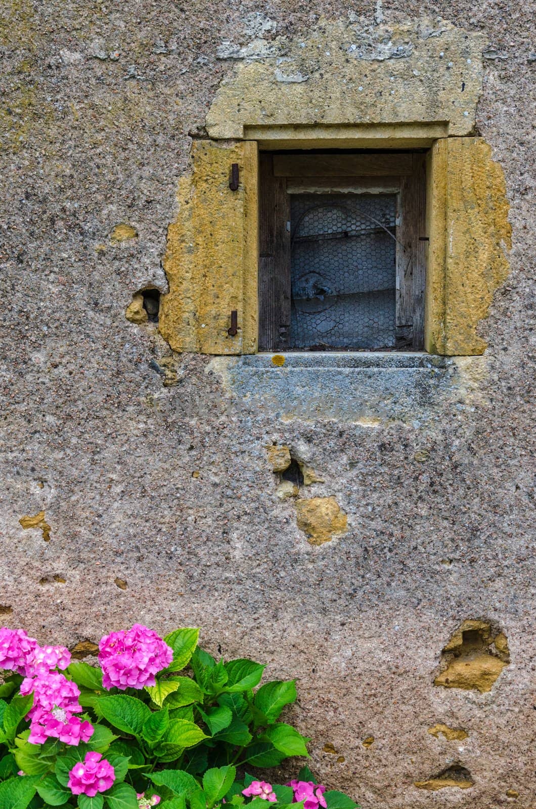 Small window on old french house, Burgundy.