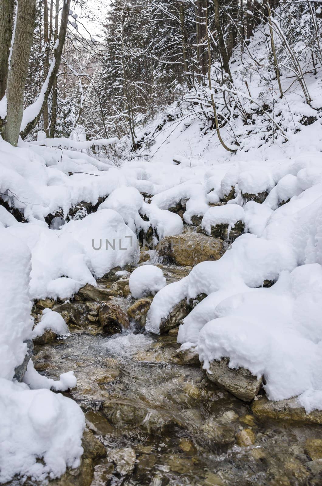 Mountain stream flowing through forest in winter time.