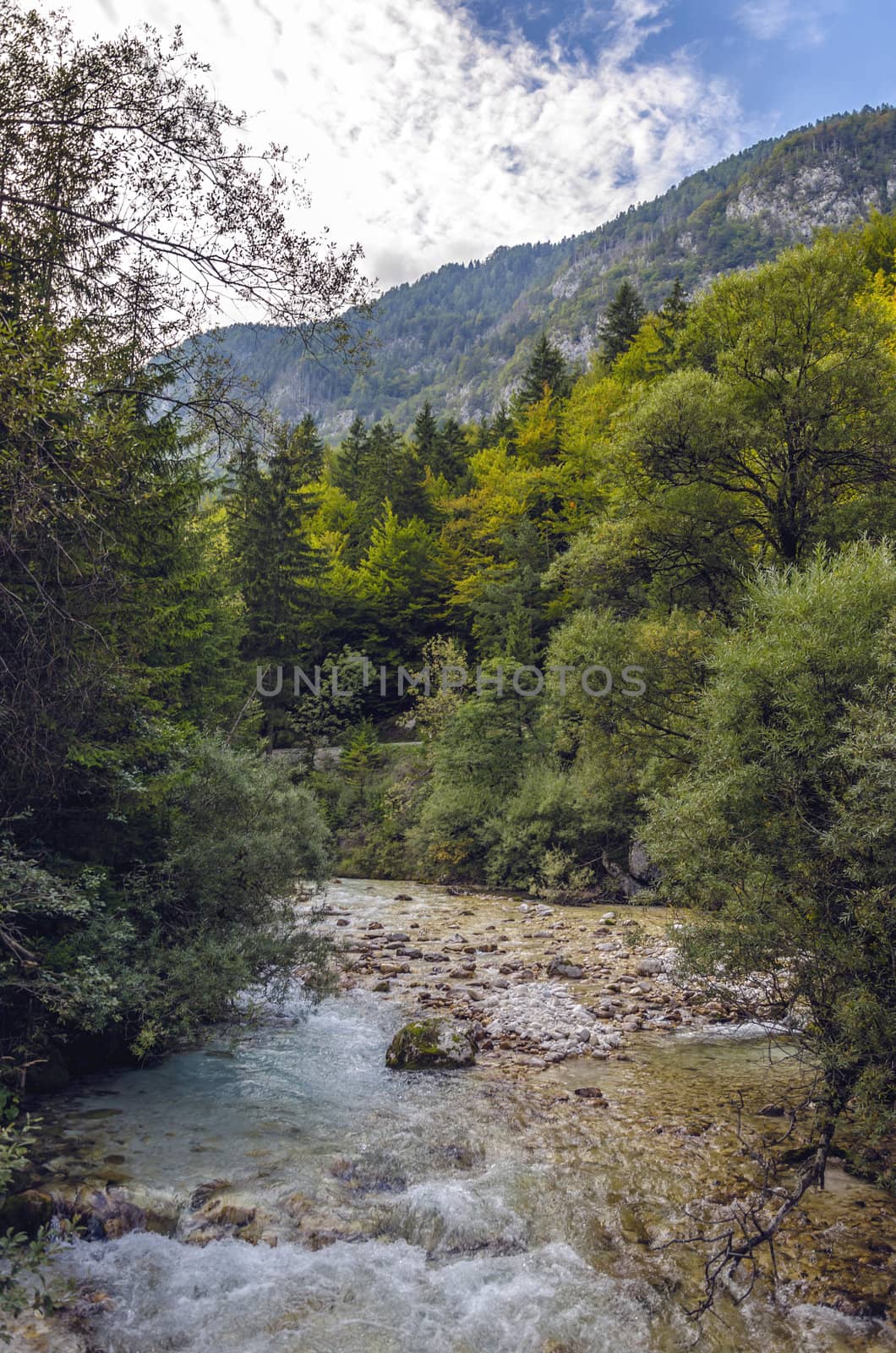 Mountain river Triglavska Bistrica, Slovenia.