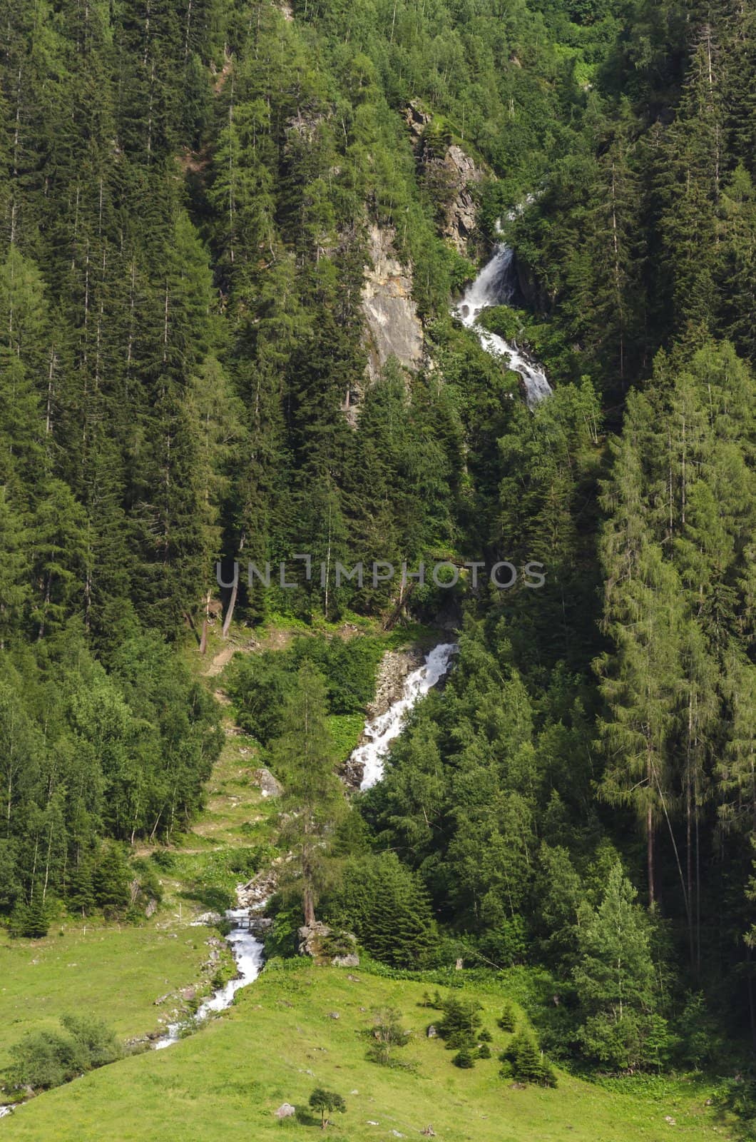 Mountain torrent flowing through forest, Austria.