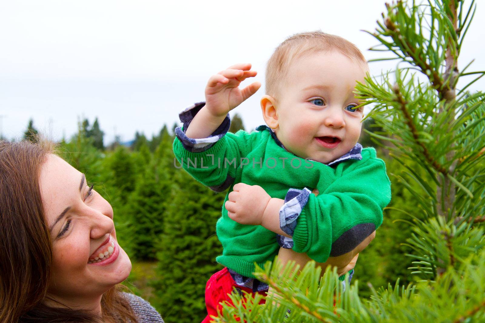 A cute young boy in a green shirt is having fun at a Christmas tree farm in Oregon.