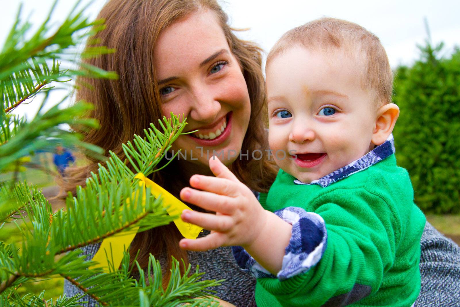 Christmas Tree Farm Portraits by joshuaraineyphotography