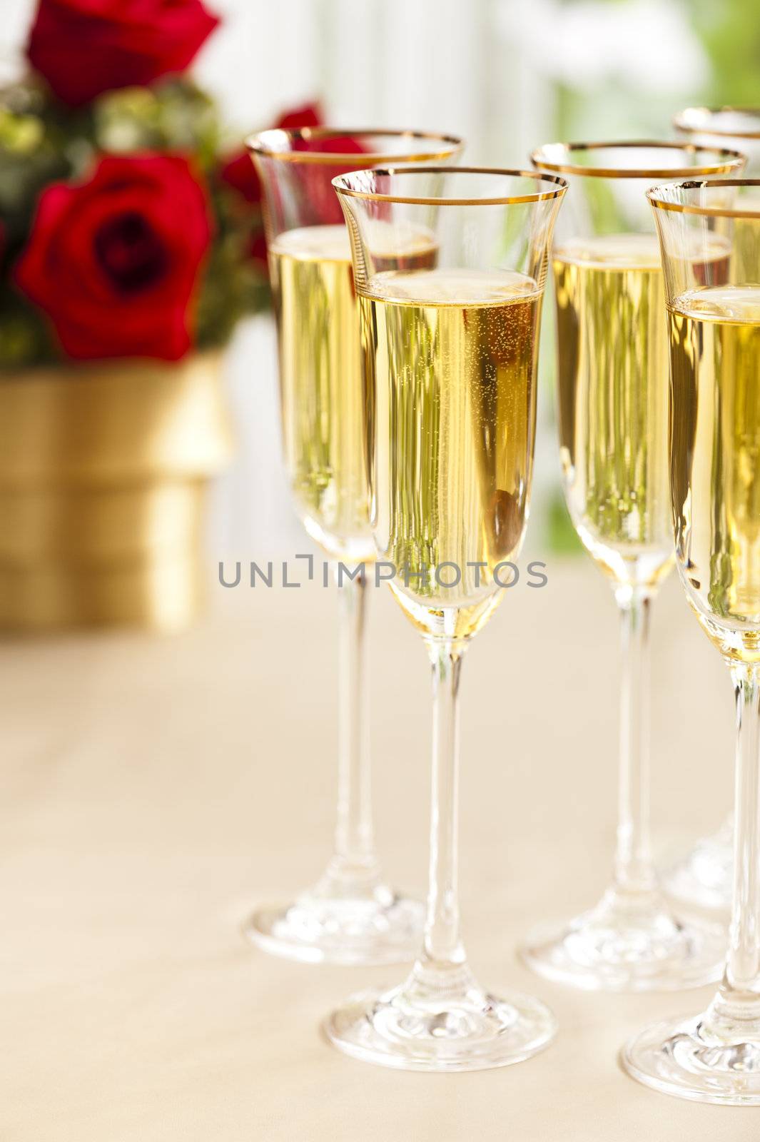 Wedding reception setting with champagne by 3523Studio