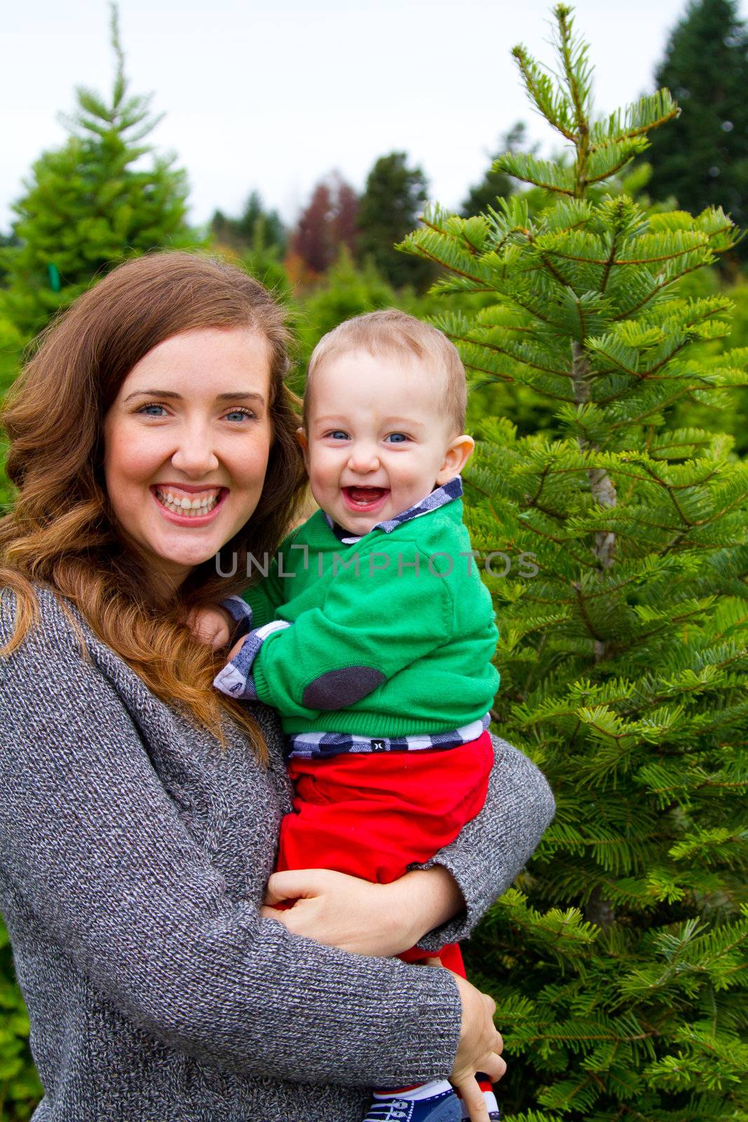 A cute young boy in a green shirt is having fun at a Christmas tree farm in Oregon.