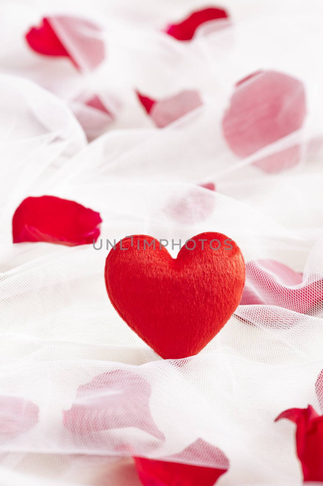 Nice red heart on wedding veil with rose petals