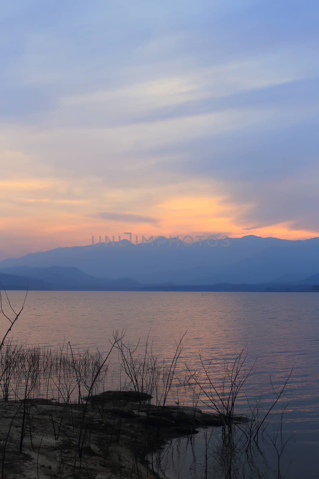 Sunset  silhouette tree on the lake by rufous