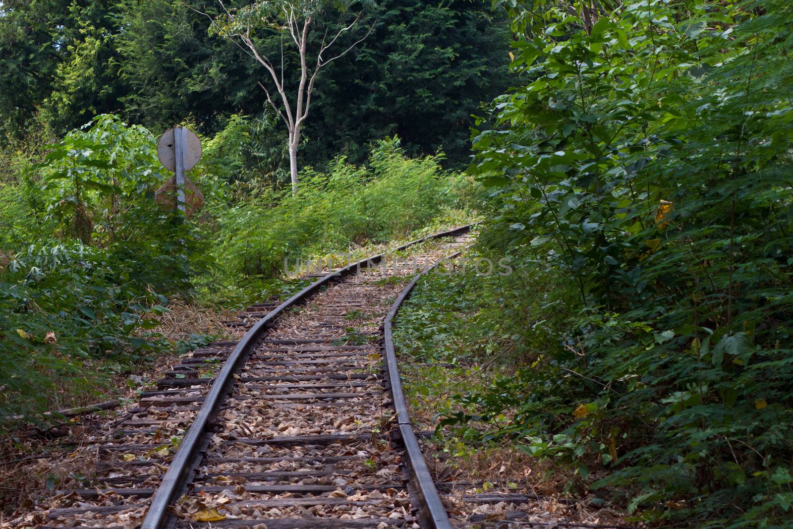 Railway beside the River Kwai in Kanchanaburi Thailand