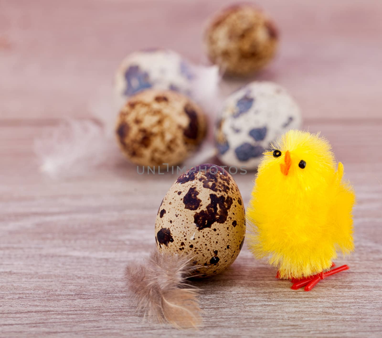 easter decoration with quail eggs on wooden background