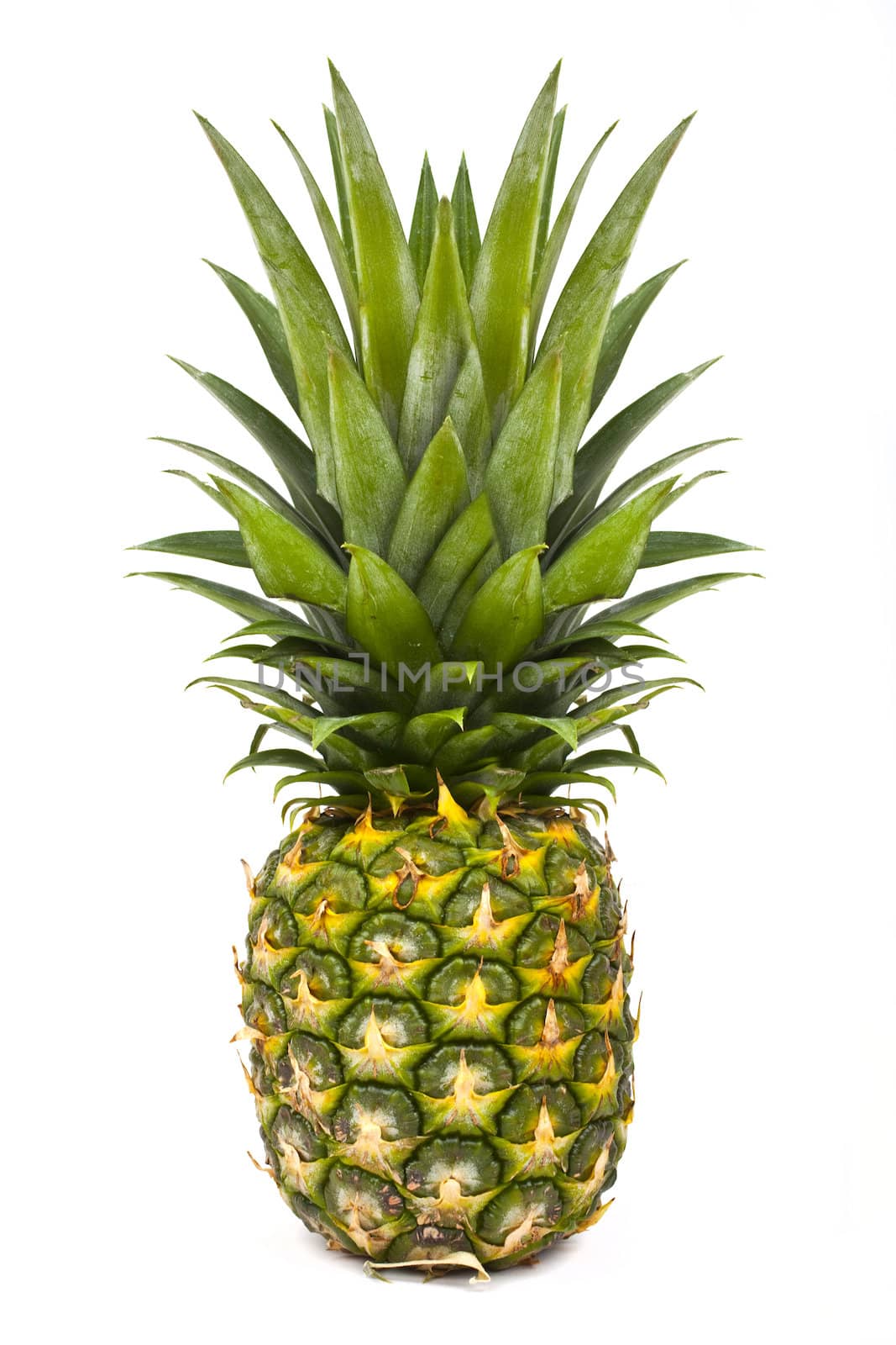 Pineapple by chrisdorney