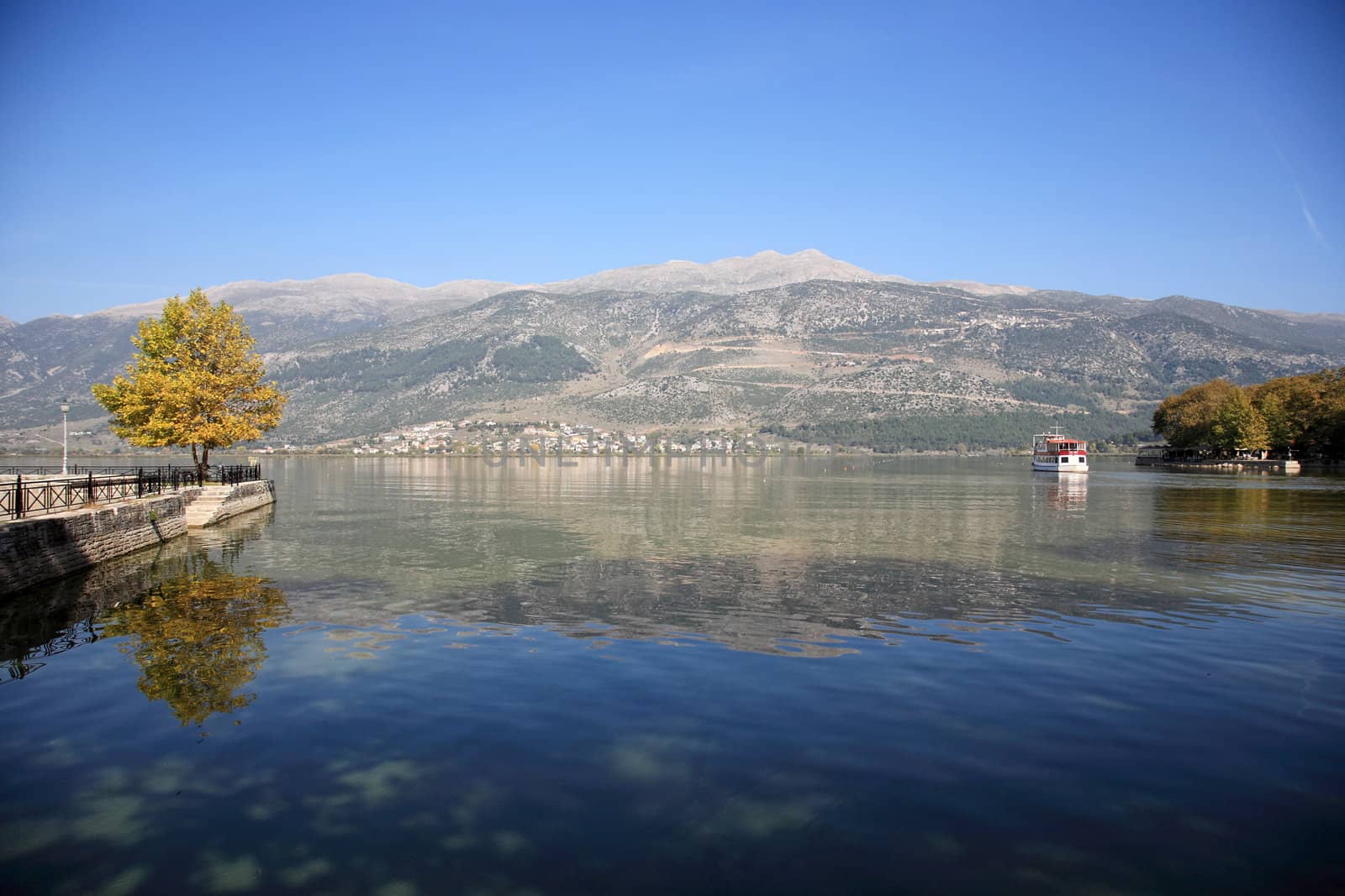 reflection of a tree to the water of the lake in a beautiful place in greece