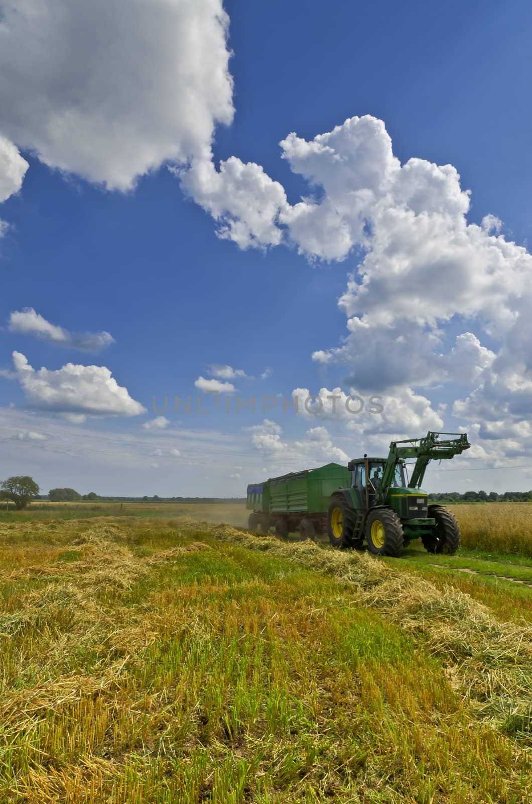 harvest time