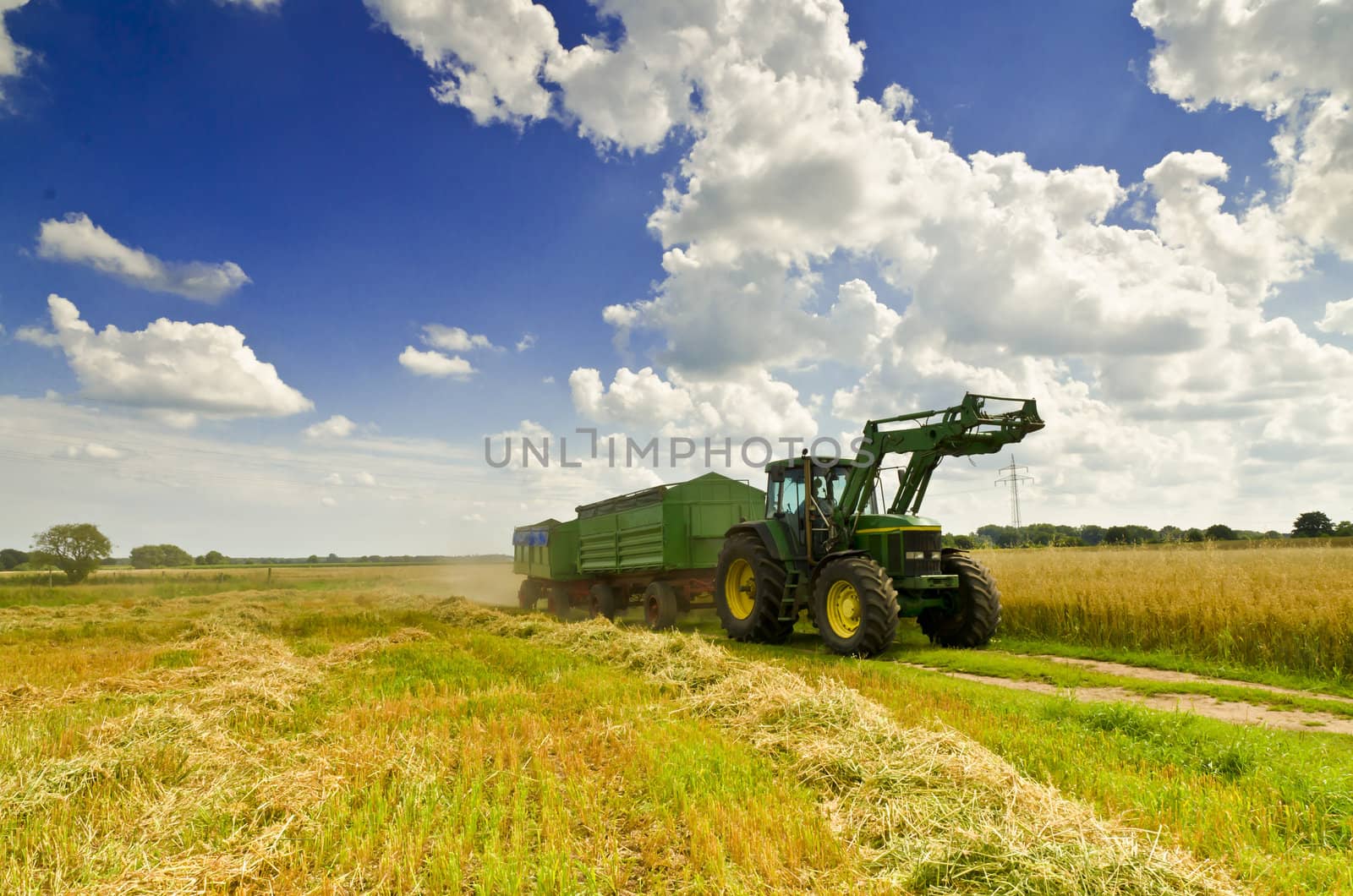 harvest time by Darius.Dzinnik