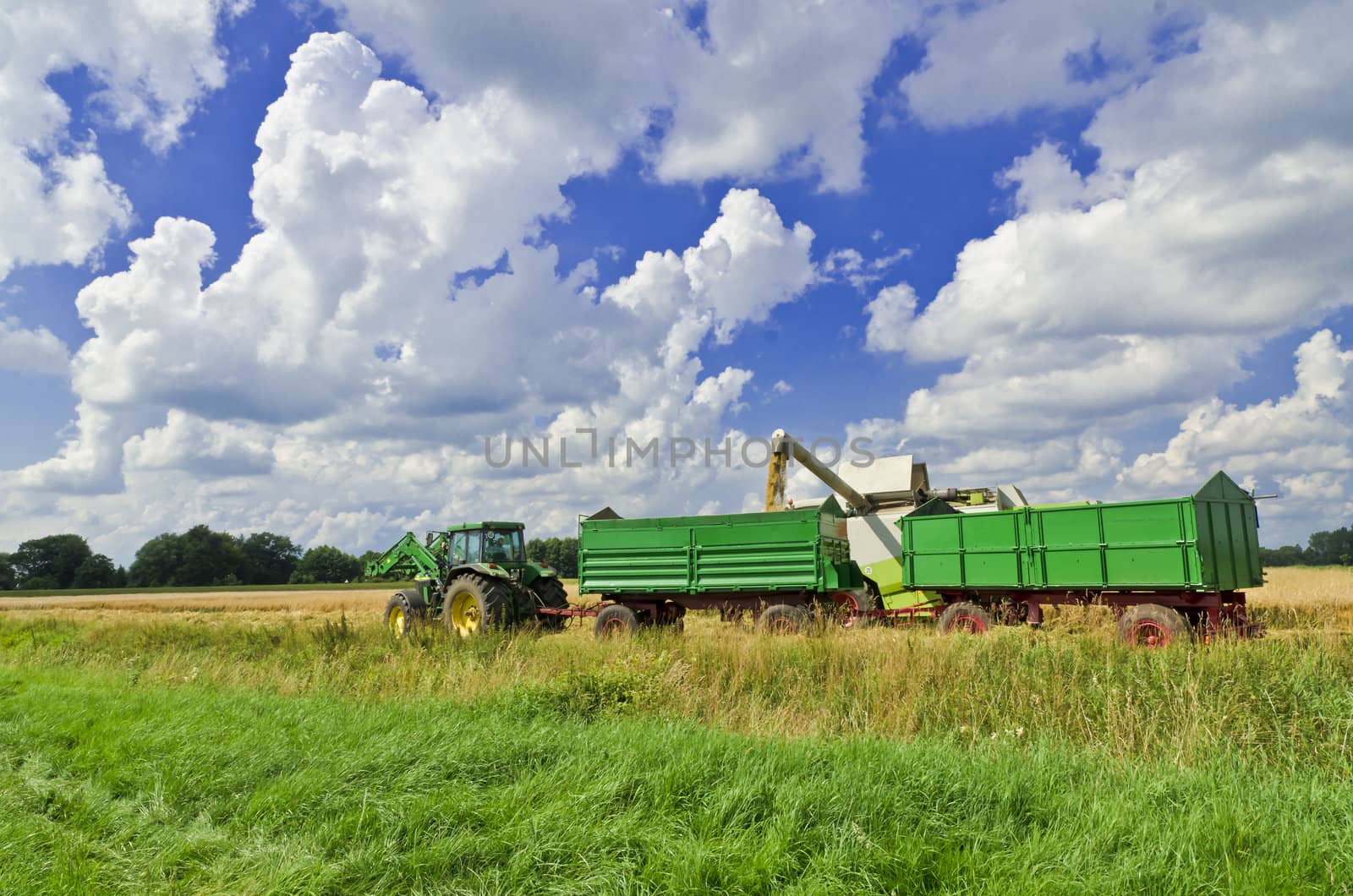 Combine harvester by Darius.Dzinnik