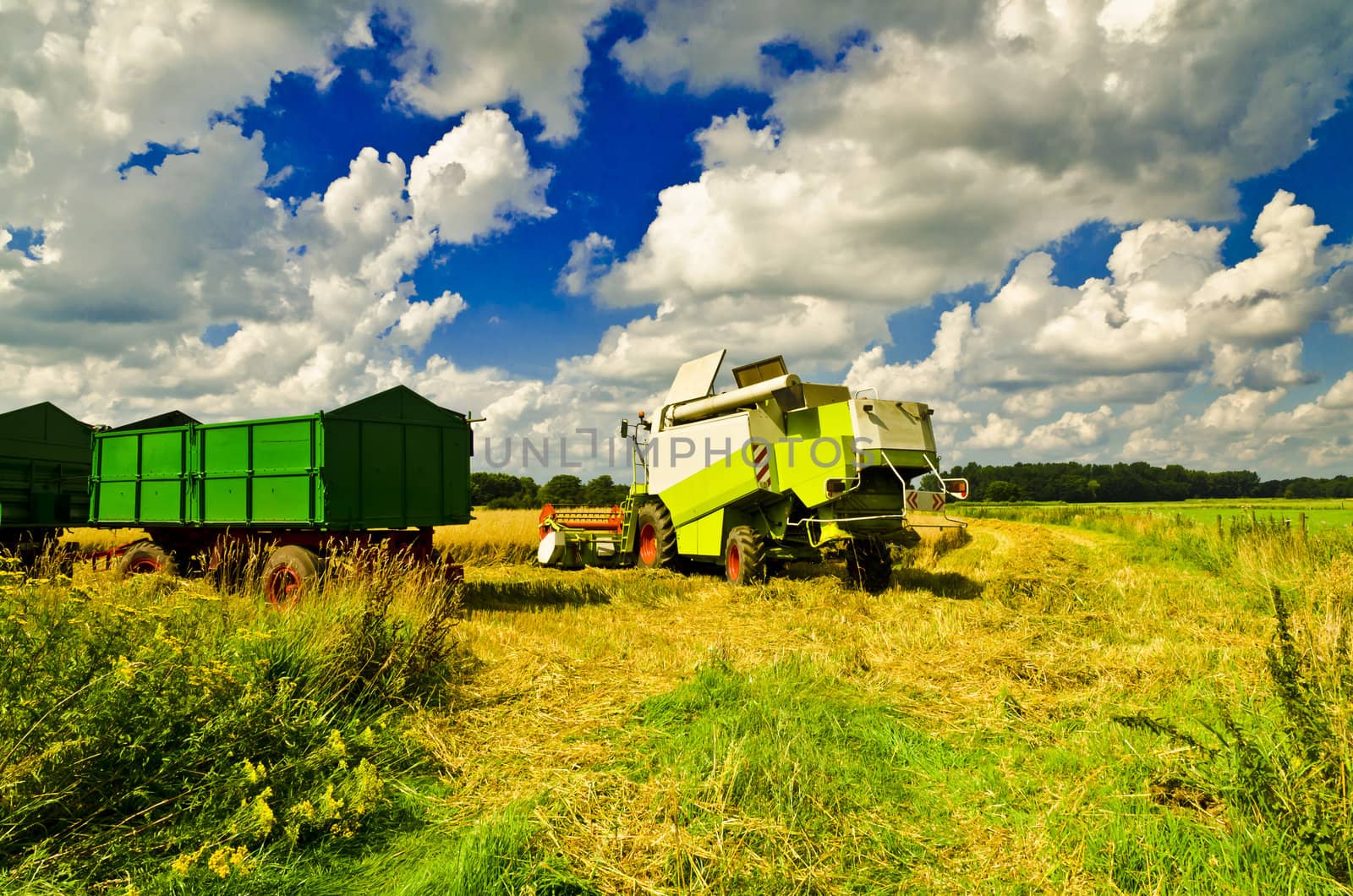 Combine harvester by Darius.Dzinnik