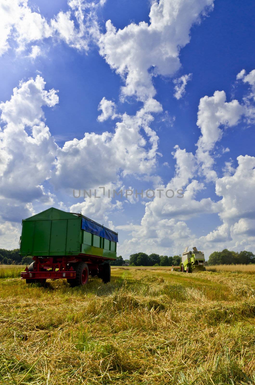 Combine harvester by Darius.Dzinnik