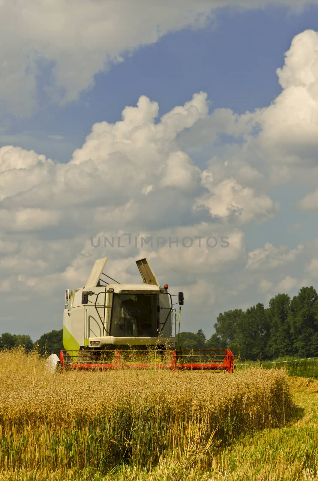 Combine harvester