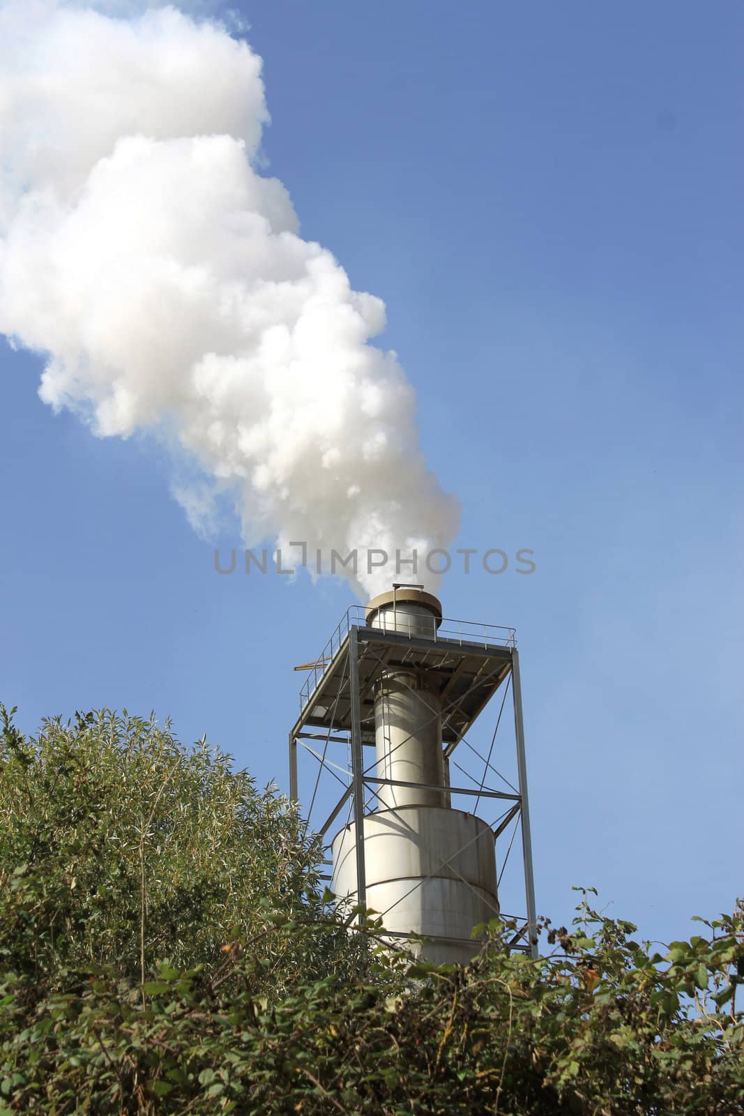 Smoke of a chimney of a sawmill in activity