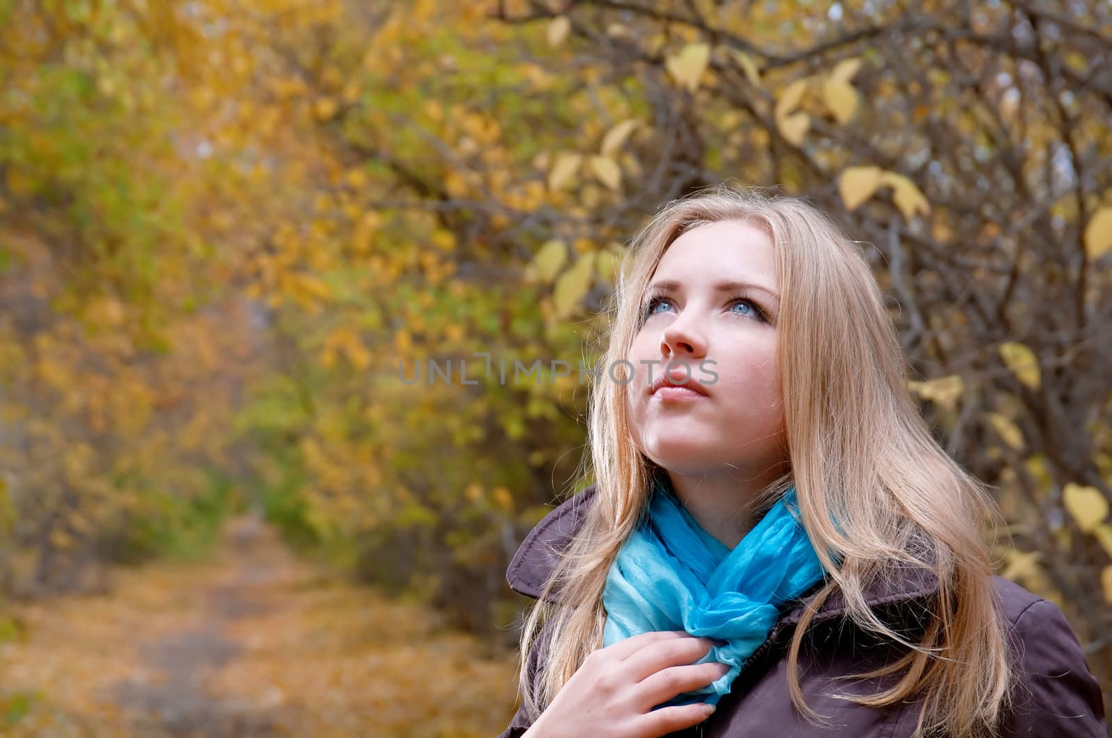 Young pretty blonde woman in the autumn park