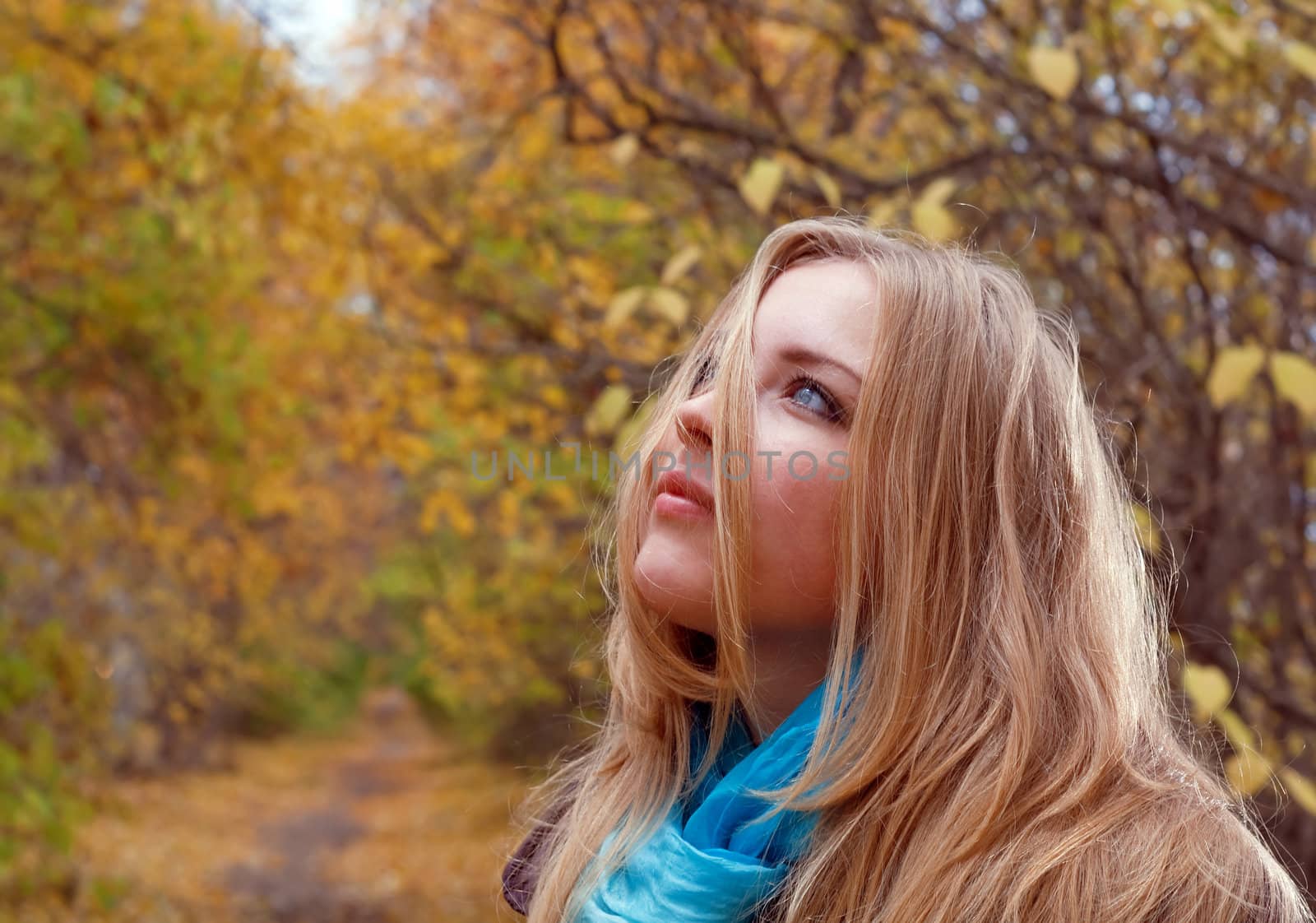 Young pretty blonde woman in the autumn park