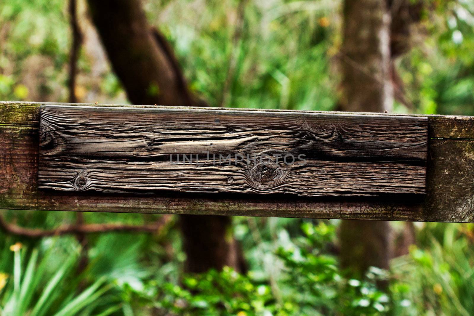 Close up of a sign of wood in the park 