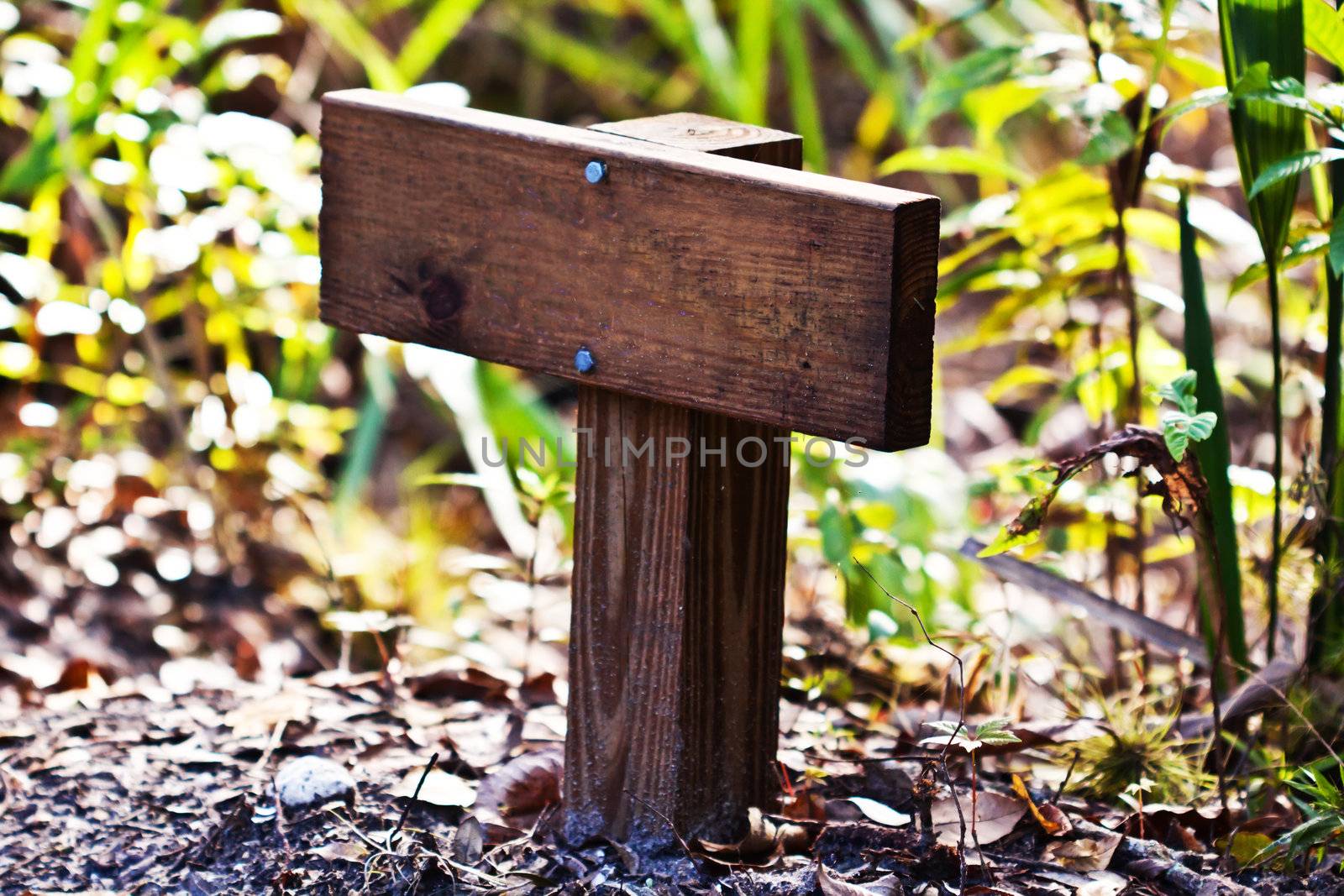 Close up of a sign of wood in the park 