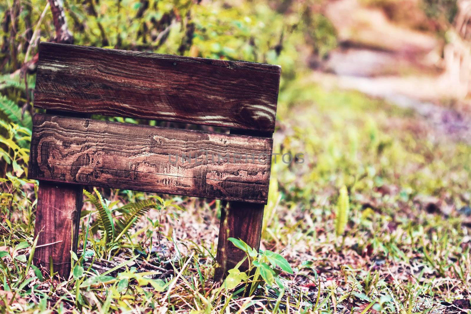 Close up of a sign of wood in the park 