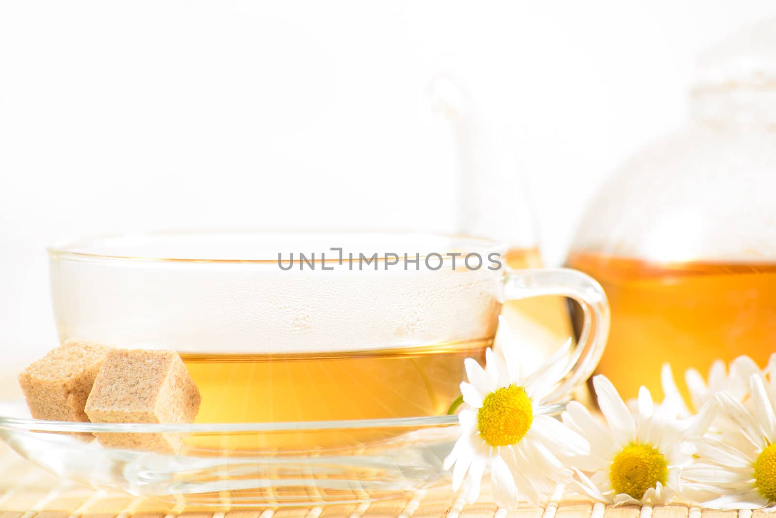 A teacup and a teapot with herbal chamomile tea