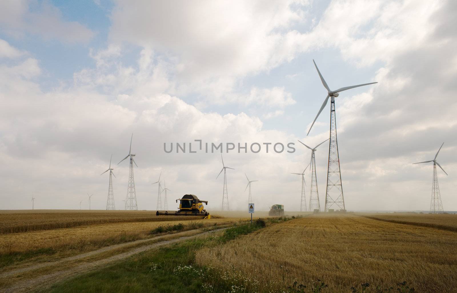 Harvesting on wheatfield with windmills
