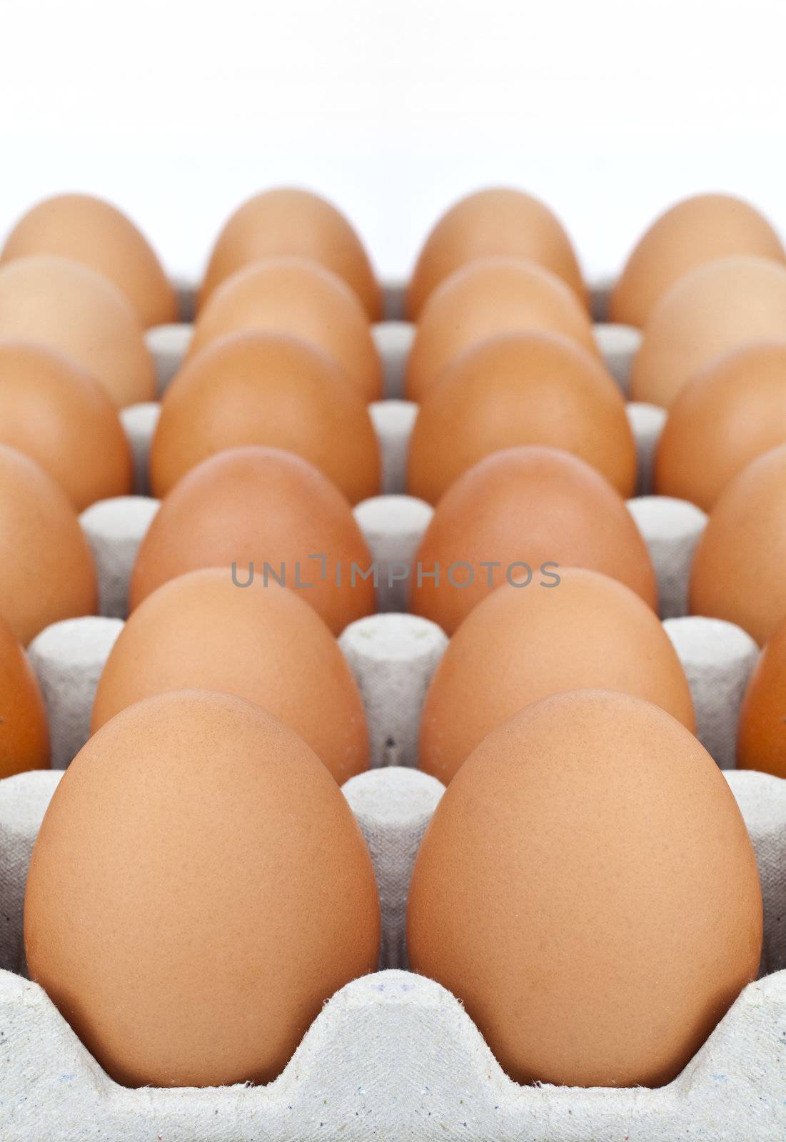 Carton of Eggs by chrisdorney