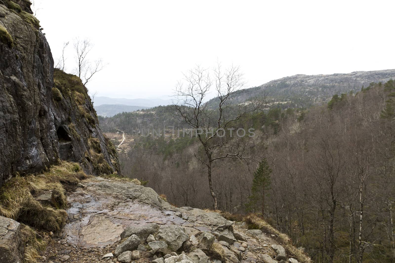 small plateau in the mountains of norway with forest in background