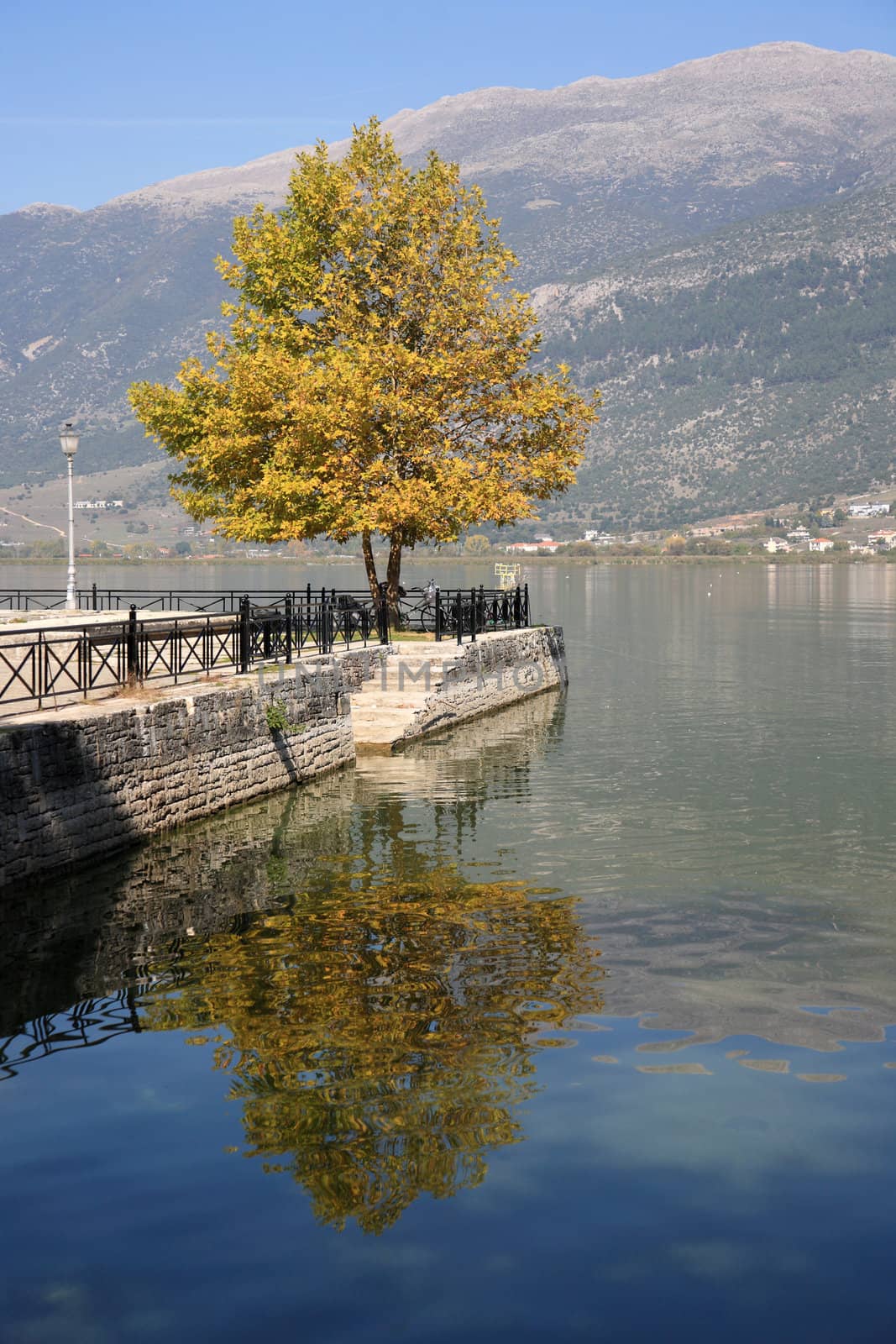 reflection of a tree on the water of a lake in greece