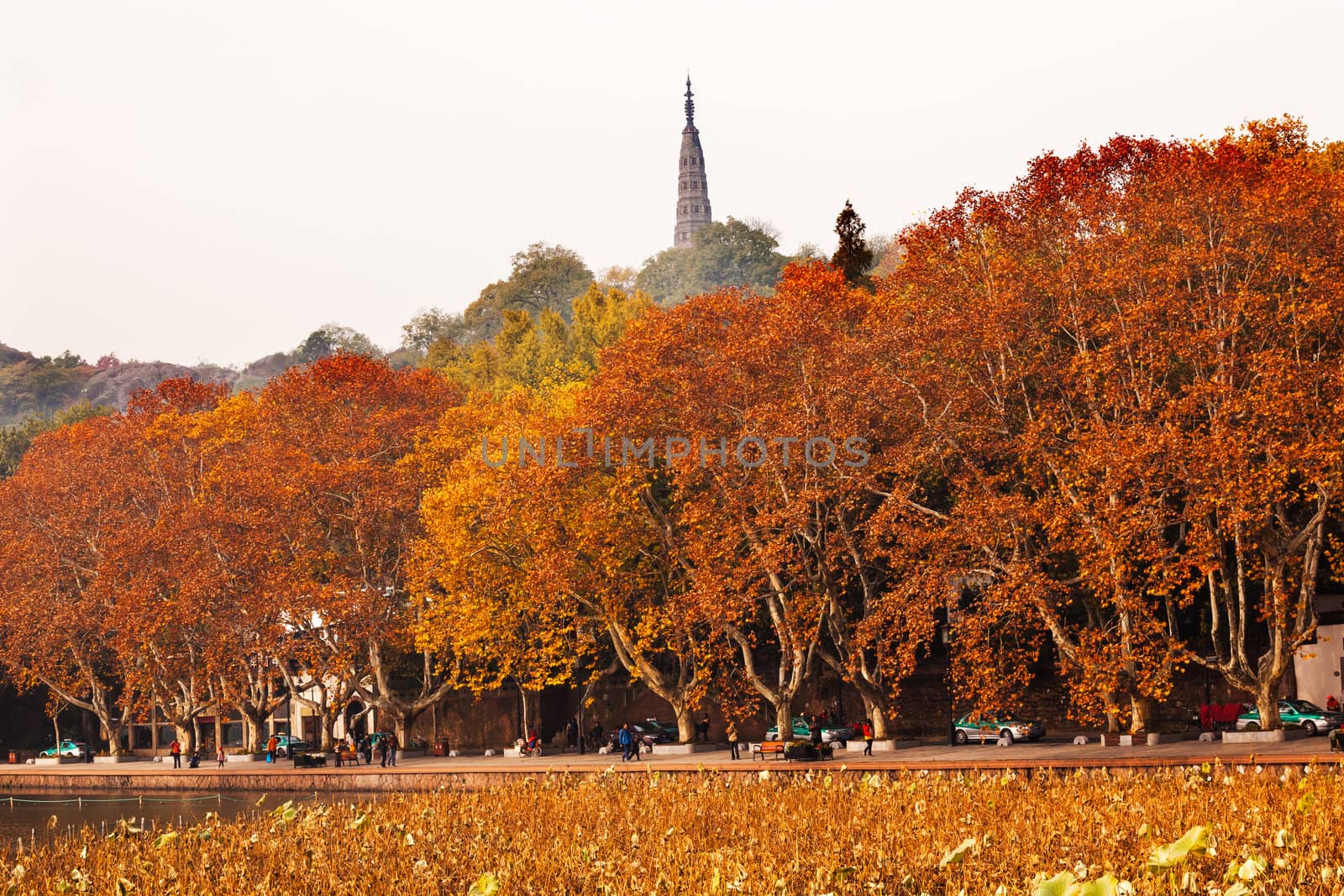 Ancient Baochu Pagoda Autumn West Lake Hangzhou Zhejiang China by bill_perry