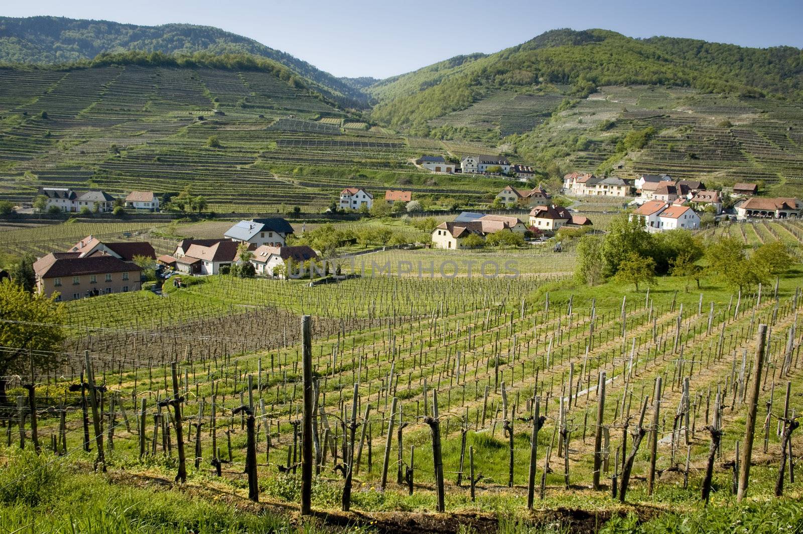 Lower Austria Wine-Growing District