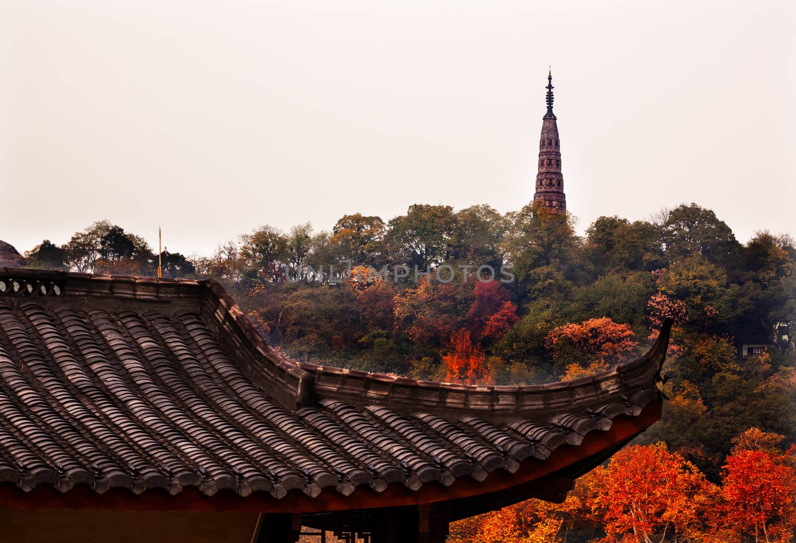 Ancient Tiled Roof Baochu Pagoda West Lake Hangzhou Zhejiang China .  Pagoda was constructed in 963AD