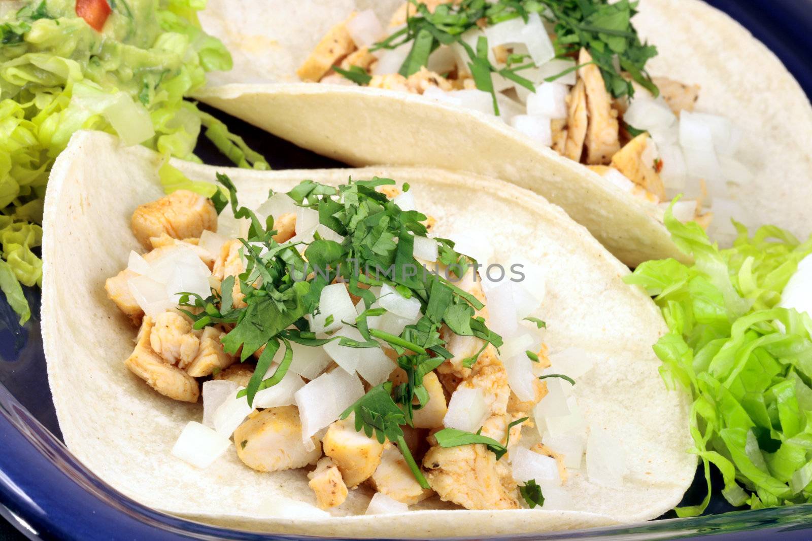 delicious chicken mexican tacos  perfect  meal or snack at any time  