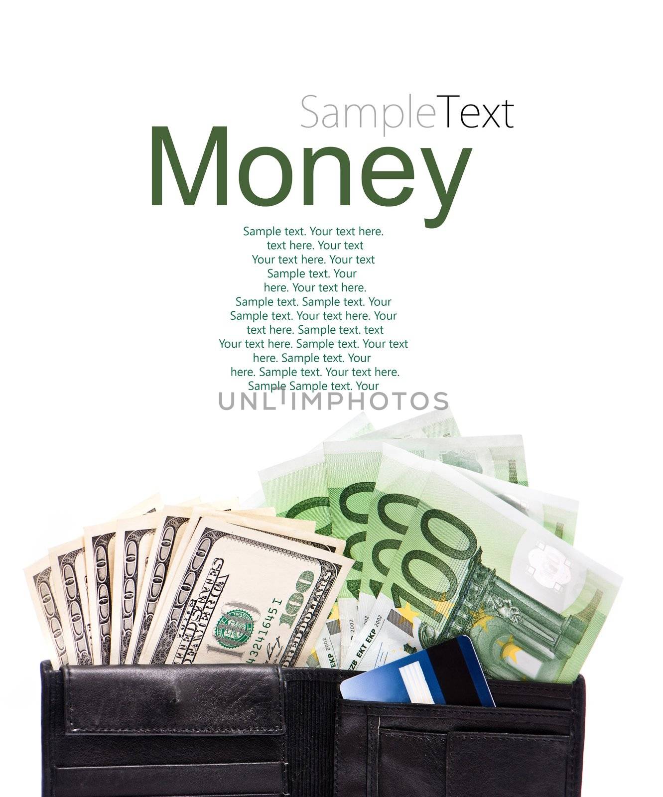 wallet with euro banknotes, dollars and credit cards with sample text
