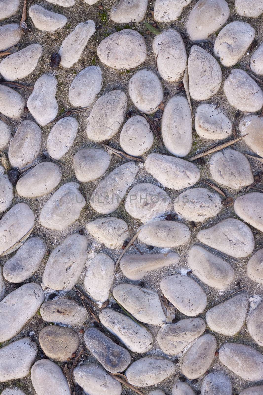 cobblestone flooring in a park