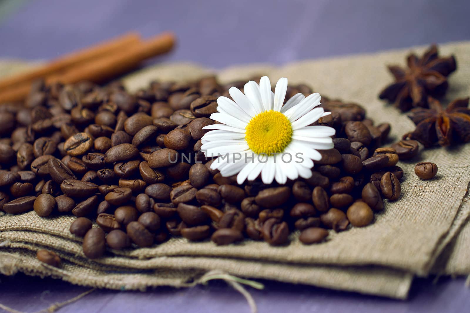 coffee beans with chamomile by victosha
