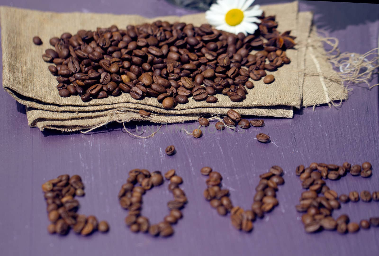 Close-up of coffee beans with chamomile