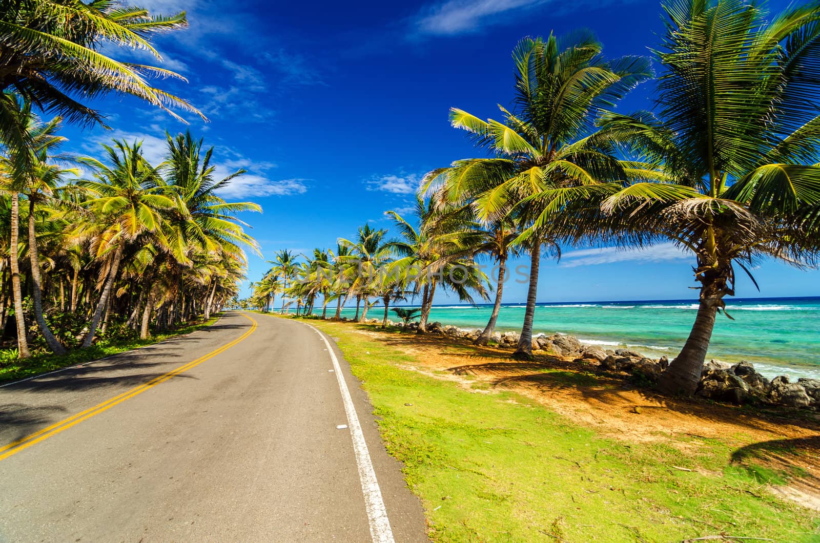 Highway next to turquoise Caribbean sea and palm trees in San Andres, Colombia