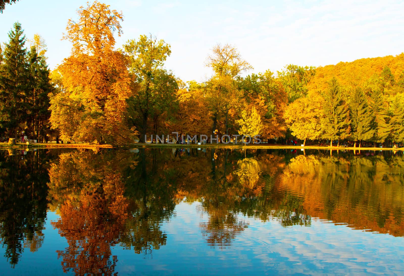 Autumn landscape by NagyDodo