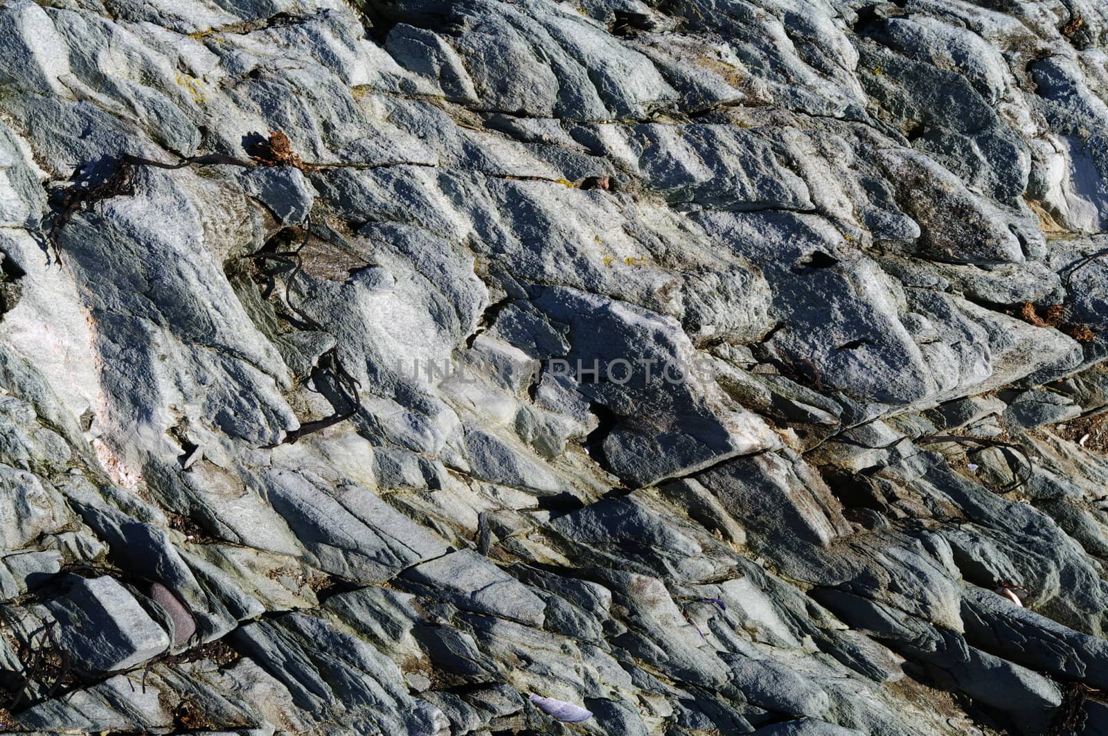 A background stone ledge