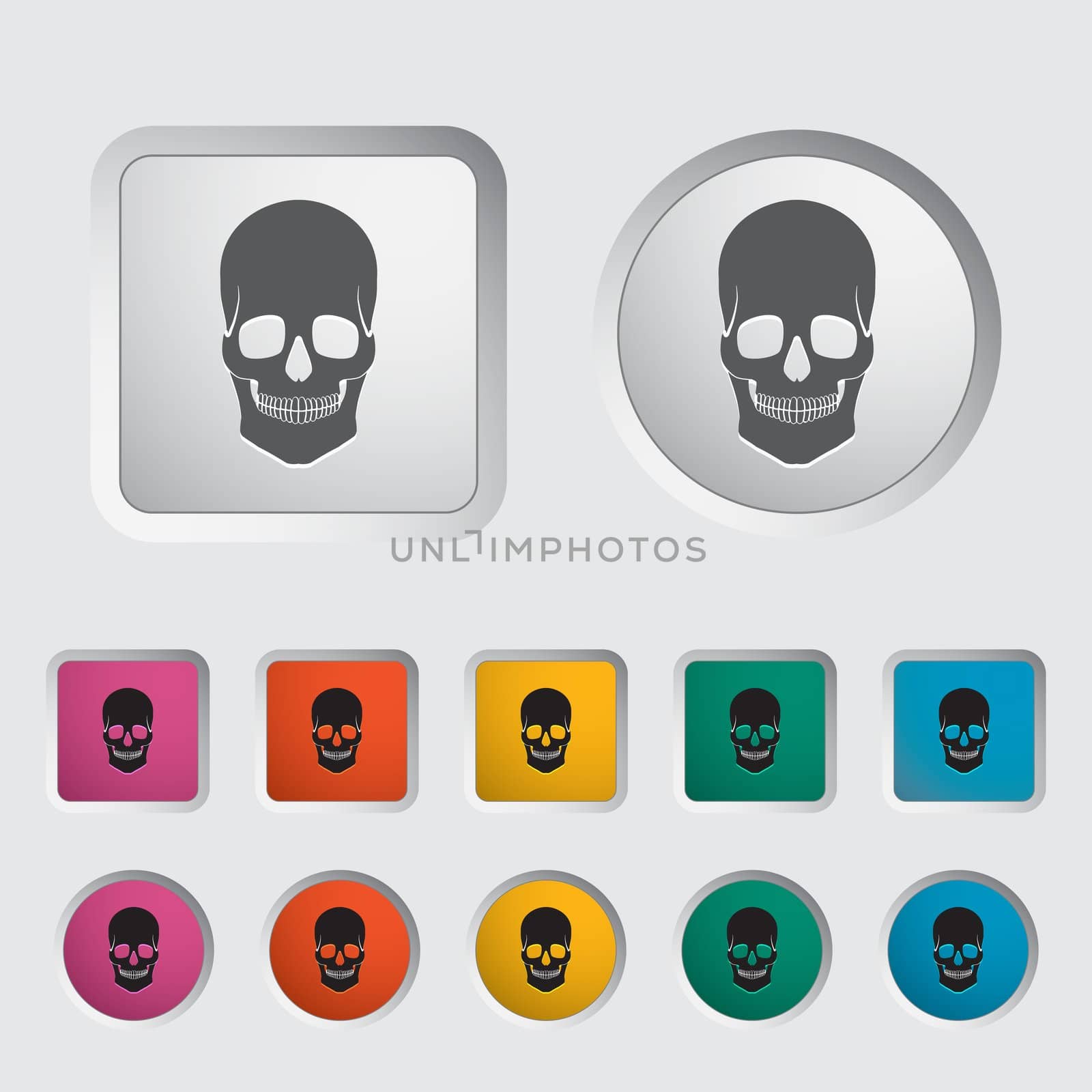 Anotomy skull icon. Vector illustration.