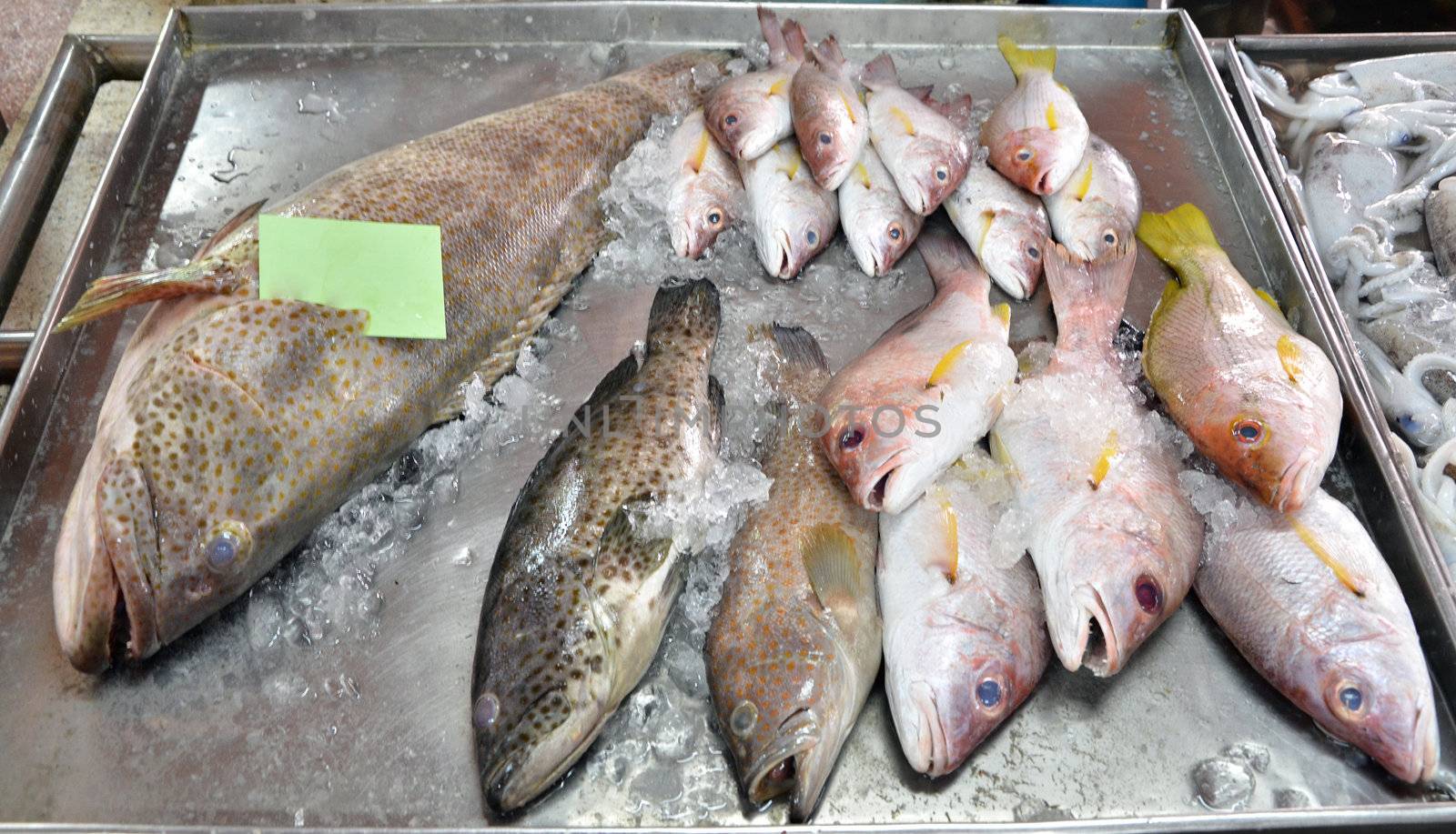 variety of fresh fish seafood in fresh market 