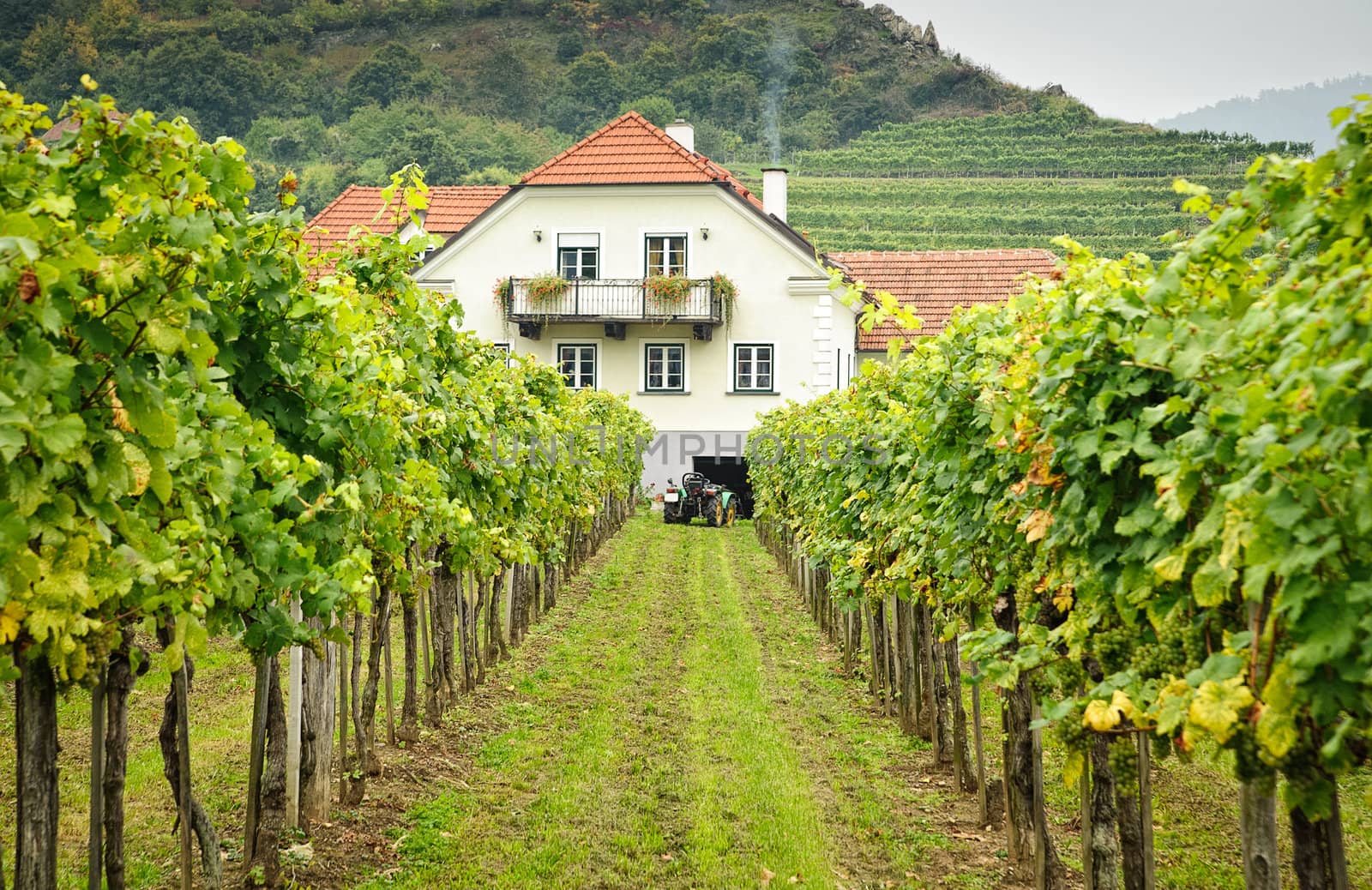 Farmers House in an austrian Vineyard