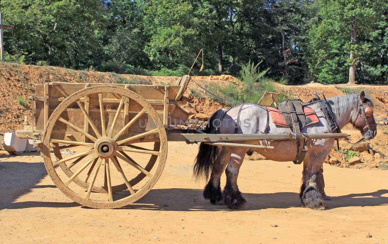 horse harnessed to a cart for transporting materials