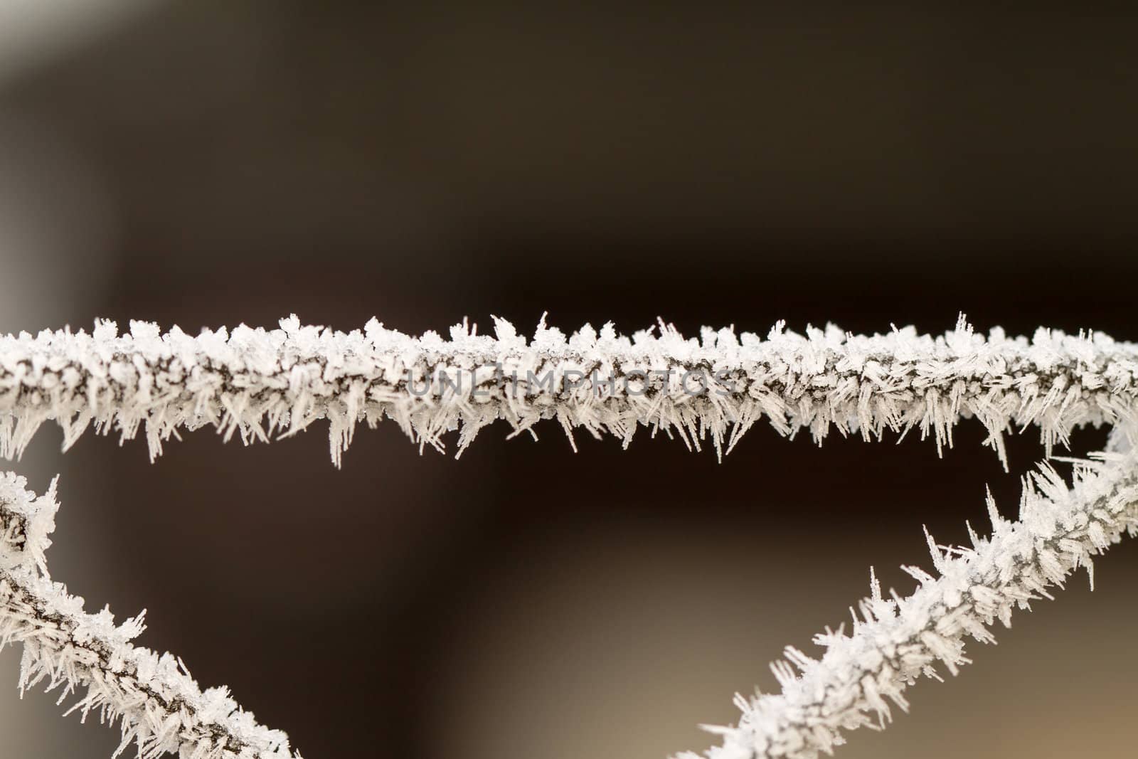 wire fence texture with hoarfrost overlay